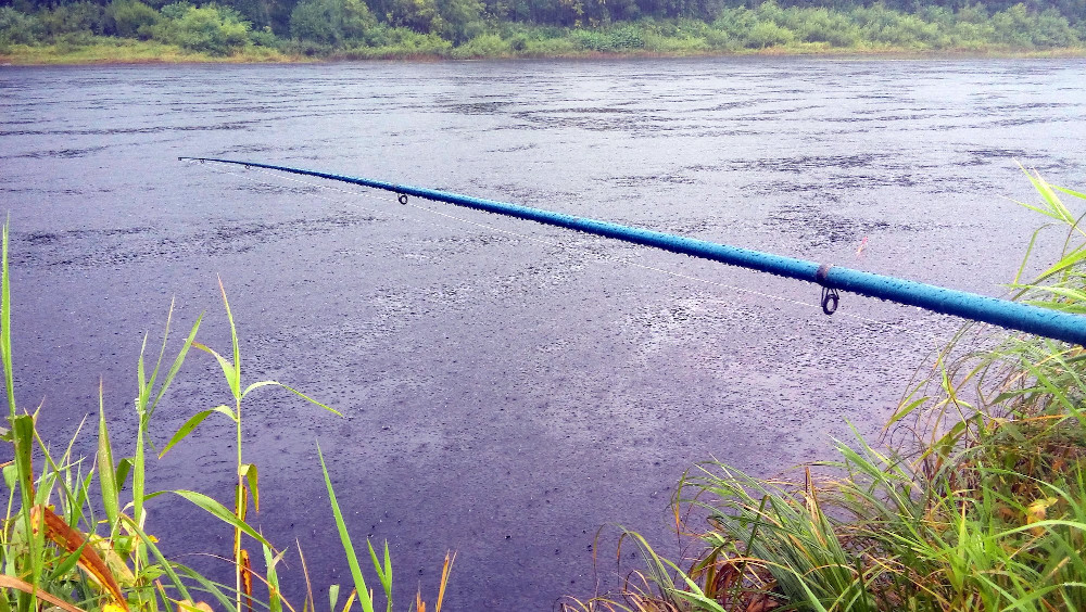 Дождь на рыбалке