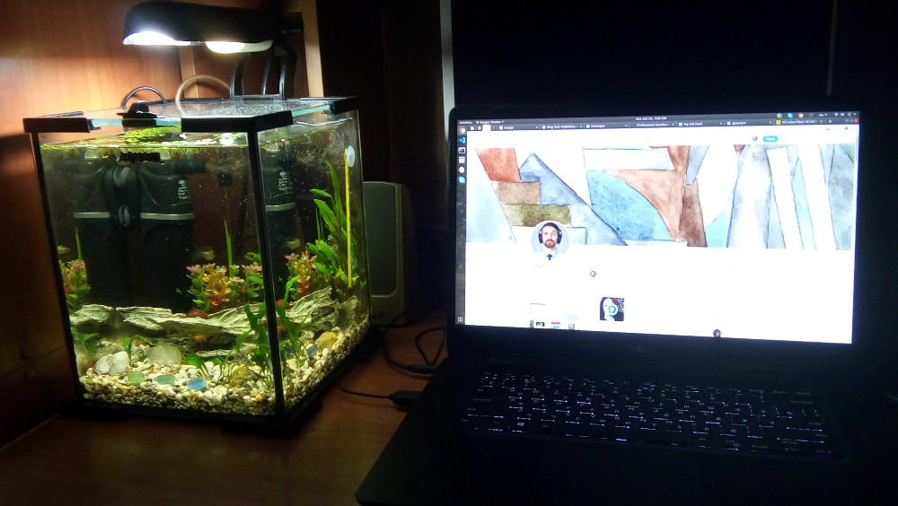 аквариум и ноутбук