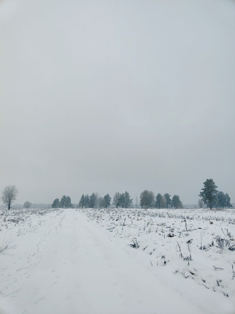 лен. область зимой