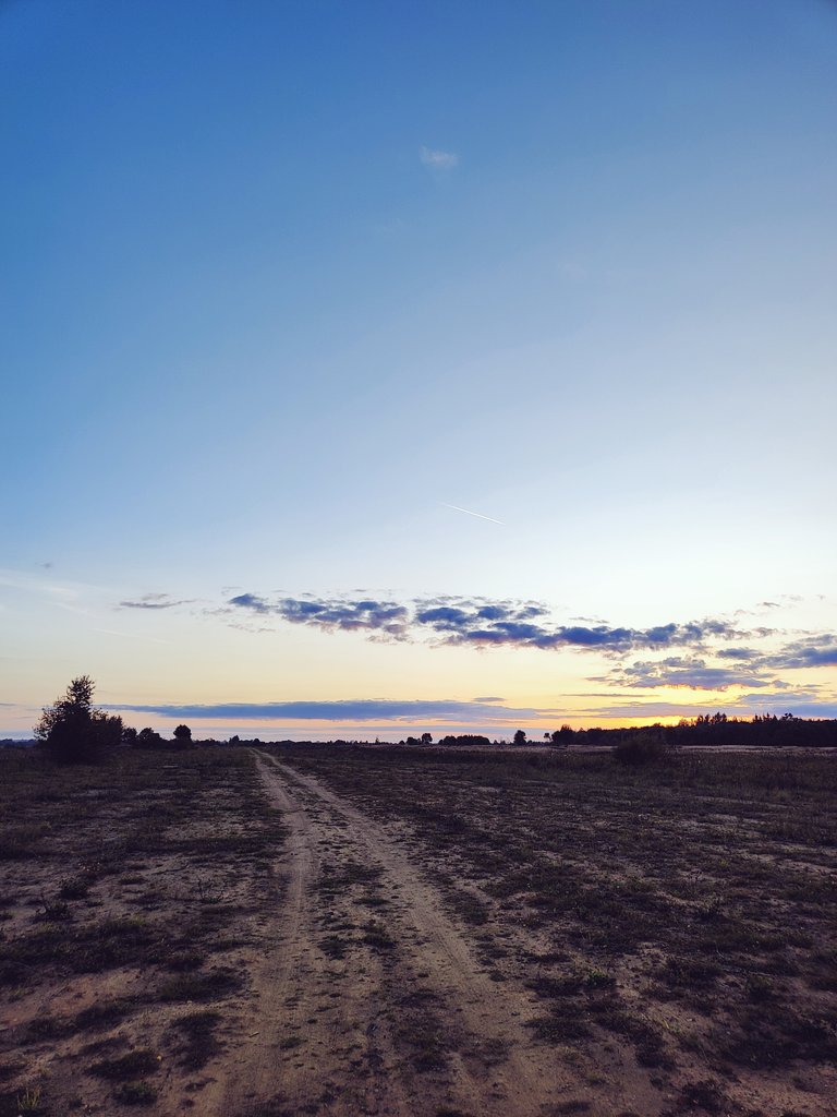 Дорога в поле при закате