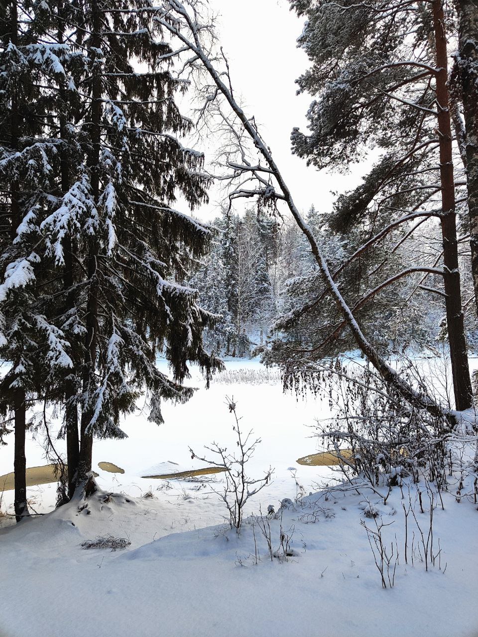 зима в области