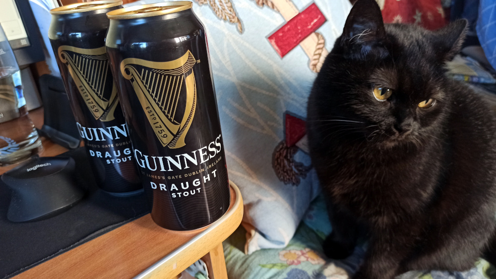 Кошка с пивом