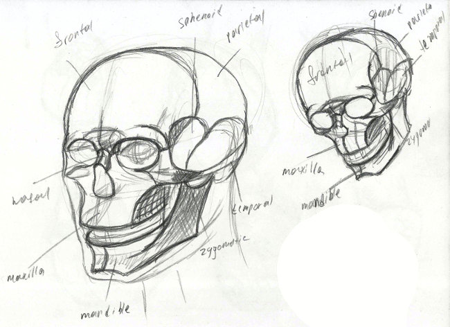 рисование черепа